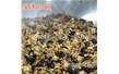 大型炒菜機什麽加熱方式好多少錢