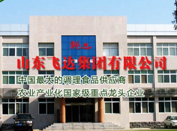 山東飛（fēi）達集團有限公司【電