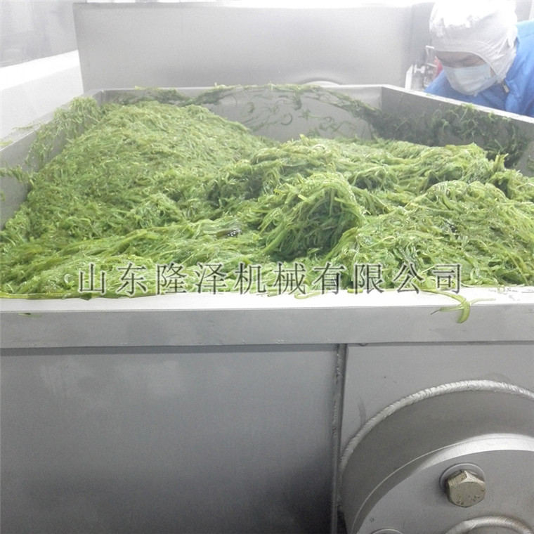 蔬菜調料臥式攪（jiǎo）拌機生產現場